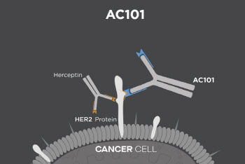 앱클론, HER2 양성 위암 글로벌 3상 첫 환자 투여