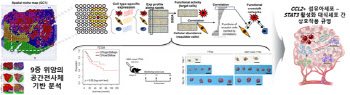 위암 진행 핵심 세포 상호작용 첫 발굴
