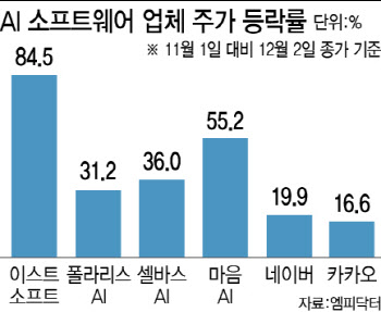 형보다 아우…반도체 지고, AI 소프트웨어株 랠리