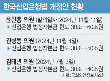 한도 87% 넘었는데…국회에 발묶인 '산은 자본금 증액'