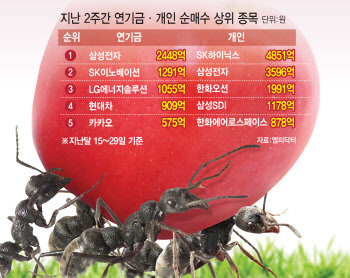 개미·연기금 힘으로 버티는 증시, 뭐 담았나 봤더니