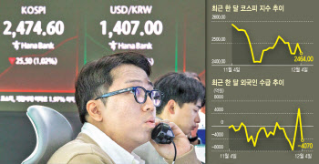 '계엄 충격'에 외국인 대거 이탈…코인 시장도 '출렁'