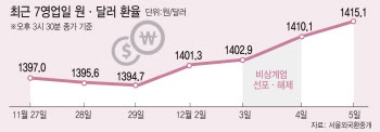 "피가 마른다" 기러기아빠 킹달러에 비명…비상계엄發 고환율 공포