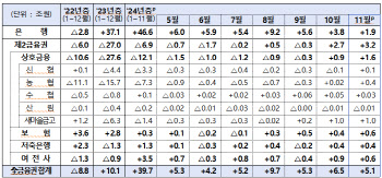 2금융권 가계대출 11월 한 달새 3.2조 늘었다