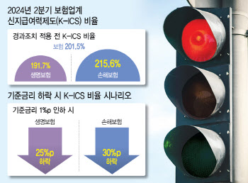 탄핵 정국 불똥 튄 보험사…부채 관리 ‘빨간불’