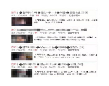 셀프 성매매 후기 ‘움짤’로 팔아넘긴 ‘검은부엉이’ 최후