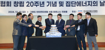 ‘2024 집단에너지의 날’ 기념식…산업차관 “민간투자 유도 계속 노력”