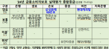 소비자보호…삼성화재·KB손보·현대캐피탈 '양호'…메리츠캐피탈 등'취약'