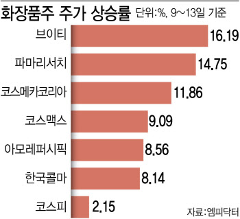 "中 소비 돌아오나"…화장품株, 약세장서 '활짝'