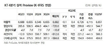 KT, 4분기 희망퇴직 등으로 적자…내년 실적 성장 기대-NH