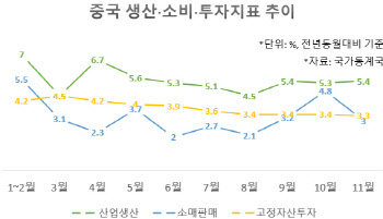 광군제에도 中 11월 소비 3% 증가 그쳐…내수 부진 심화