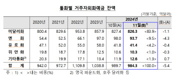 11월 환율 상승 지속…외화예금 두 달 연속 감소세