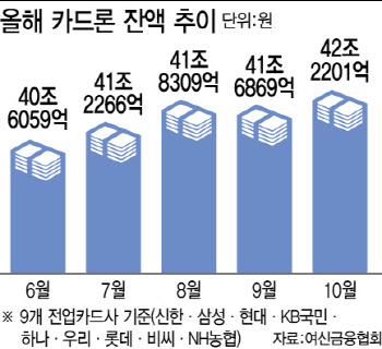 탄핵 정국에…카드사 수수료 개선 뒷전 우려