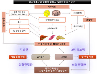 임수 교수, ‘대사증후군’ 최신 지견 집대성한 종설논문 네이처 리뷰에 발표