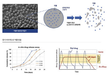 HLB제약, 펩트론 대항마?...특허 낸 장기지속형 기술 뜯어보니