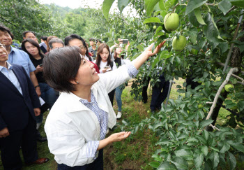 사과·배추 '주산지' 바꾼다…그린벨트에 수직농장 허용 추진