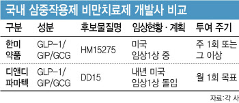 차세대 비만약 강자, 한미 vs 디앤디파마텍