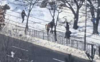 야산에 마약 묻고 변장까지..8만명분 필로폰 팔려던 외국인들 검거