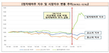 계엄 선포 후 정치테마주 기승…금감원, 특별단속반 가동