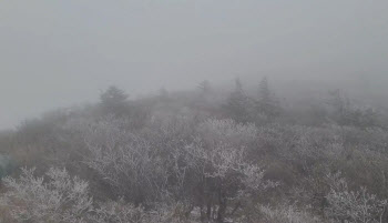 출근길 영하 10도 맹추위…충청·전북 20Cm 폭설