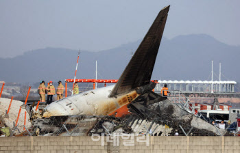 “조류 충돌만으로는..” 전문가들, 의문 제기한 이유