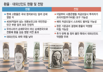 "이달부터 해외자금 조달시 프리미엄 요구 가능성"