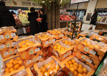 설 앞두고 성수품 물가 '꿈틀'…고환율에 수입과일 가격도 상승 우려