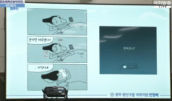 "잡혀갔나?"...국회에 등장한 '내란성 불면증' 만화 뭐길래