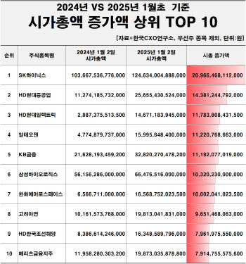 국내 시총 249조 '뚝'…삼성 156조↓·하이닉스 21조↑