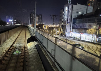 부산도시철도 선로에 멧돼지 난입…3시간 만에 사라져