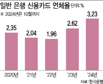 신용카드 연체율 3% 돌파…10년 만에 최대치