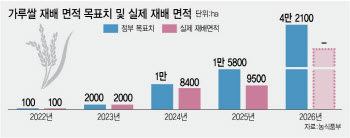 의욕 앞섰던 정부…올해 가루쌀 재배면적, 목표치 57.5% 그쳐