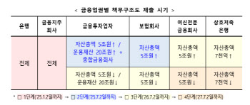 대형 금투사·보험사, 내부통제 강화 ‘책무구조도’ 시범운영