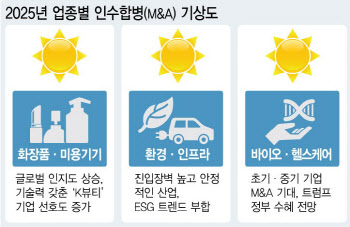 빅딜 이어진 K뷰티 인기 여전…개점휴업 이커머스는 찬바람