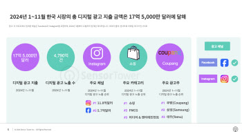 메타, 한국 디지털 광고 싹쓸이…2.5조, 쿠팡·삼성·테무가 최대 광고주