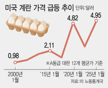 미국, 계란값 급등에 이달부터 튀르키예서 1만5000톤 수입