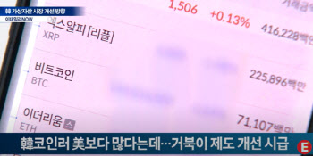 韓코인러 美보다 많다는데…거북이 제도 개선 시급
