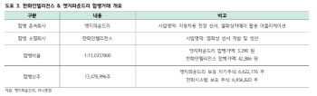 엣지파운드리, 한화인텔리전스 합병으로 한화 그룹사와 시너지 확대-하나