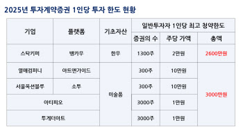 인당 3000만원…조각투자 한도 필요할까