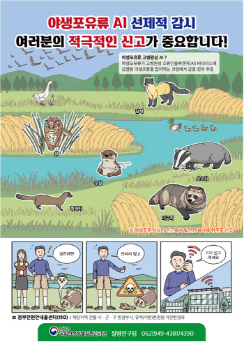 삵 사체서 조류인플루엔자 항원 검출…국내 야생 포유류 첫 사례
