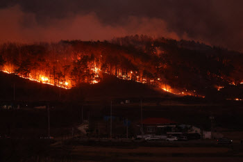 의성 산불, 안동·청송·영양·영덕 확산…천년고찰도 전소
