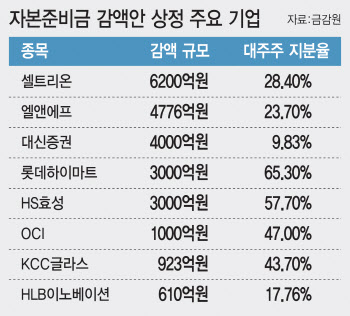 유행처럼 번지는 '감액 배당'…"법 개정 전 서둘러" 꼼수 지적도