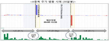 금감원 “대체거래소 프리마켓서 주가 급등락…추종매매 주의”