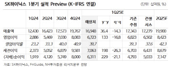 SK하이닉스, 비수기에도 양호한 실적 기대…목표가↑-NH
