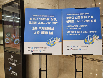 금감원 “부동산·담보·보증에 쏠린 銀 대출, 리스크 실태평가에 반영”
