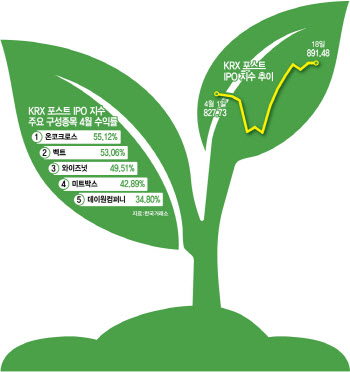 변동장에 새내기주로 피신?…IPO 지수 수익률 돋보여