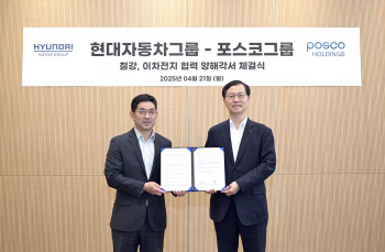 ‘원팀 코리아' 현대차·포스코, 트럼프 관세장벽 같이 넘는다