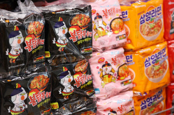 형보다 더 뛰었다…삼양식품 후광 입은 '에스앤디' 질주