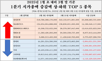 삼성·SK 중심 상장사 시총 증가…10곳 중 6곳은 하락