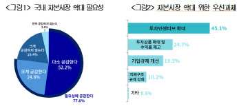 개미 77% "자본시장 넓혀야"…방법은 규제보다 인센티브